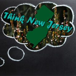 Think New Jersey